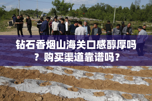 钻石香烟山海关口感醇厚吗？购买渠道靠谱吗？